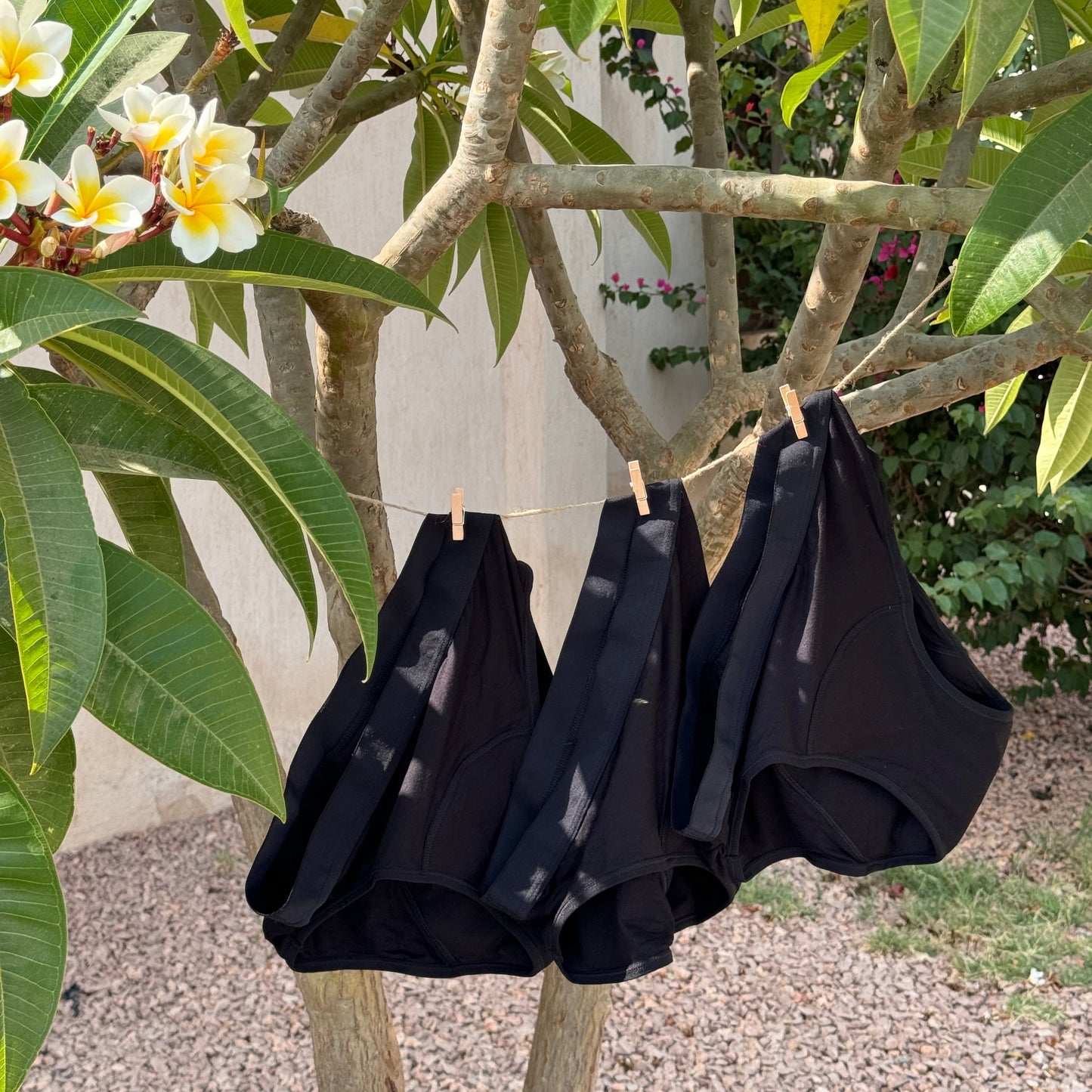 Photo montrant trois culottes menstruelles standards suspendues sur un fil dans un jardin, illustrant le contenu du coffret standard.