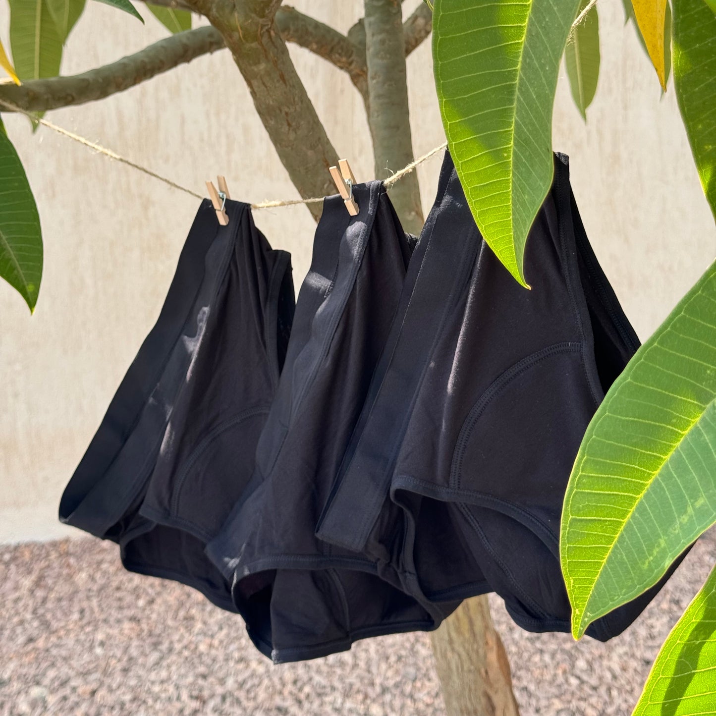 Photo montrant trois culottes menstruelles standards suspendues sur un fil à l’extérieur, illustrant le contenu du coffret standard.