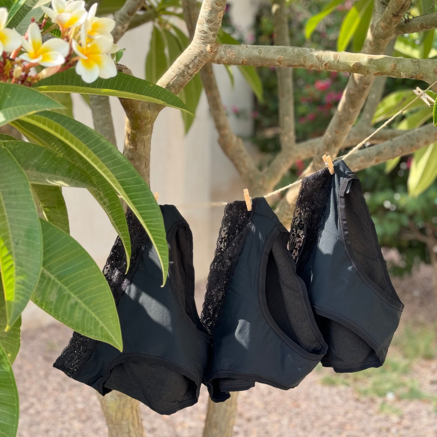 Photo montrant trois culottes menstruelles dentelles suspendues sur un fil à linge à l'extérieur illustrant le coffret dentelle.