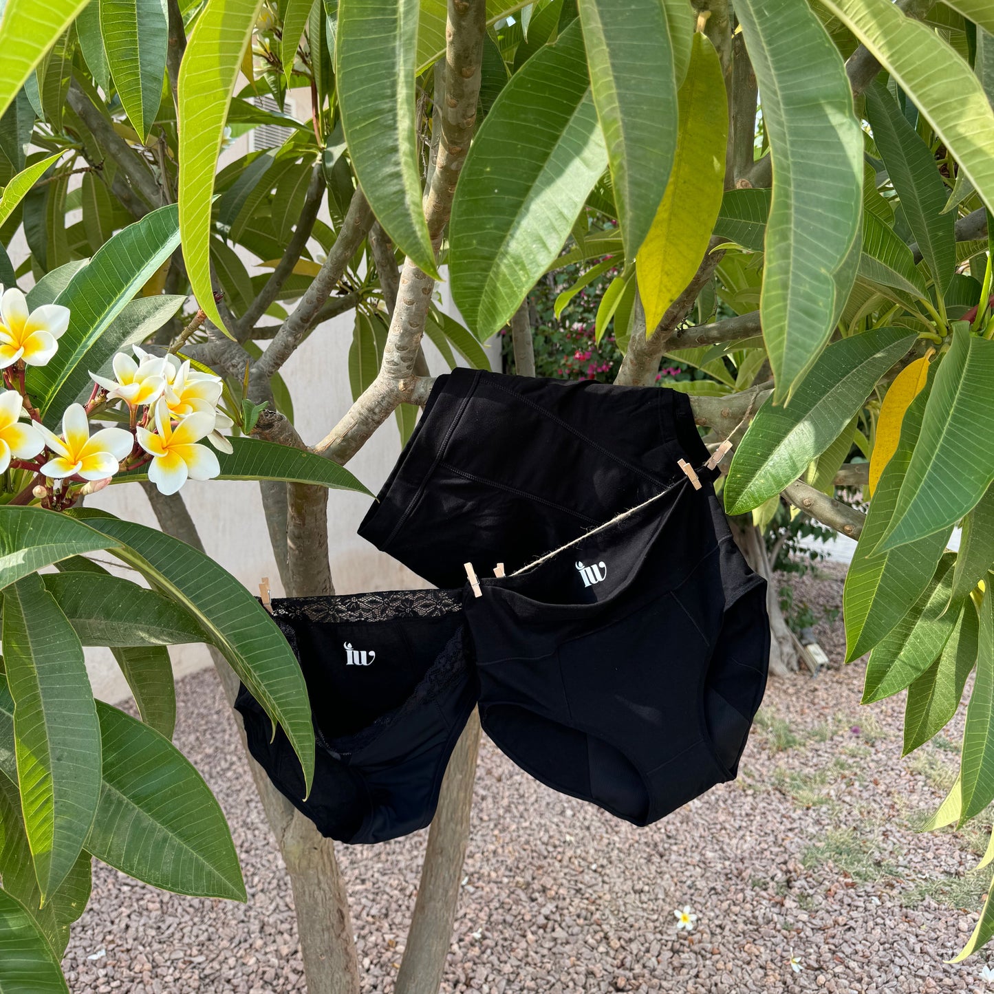 Photo montrant une culotte menstruelle dentelle et une taille haute suspendues sur un fil à linge et une culotte menstruelle nuit posée sur une branche à l'extérieur illustrant le coffret .